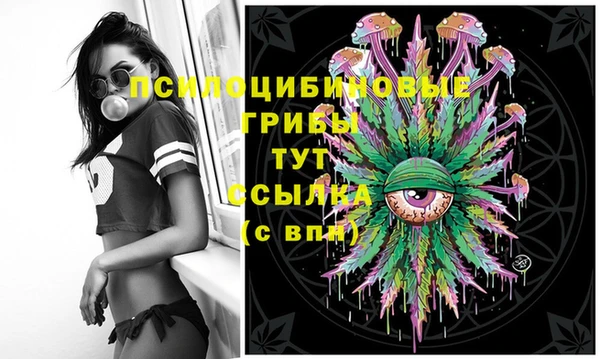дмт Баксан