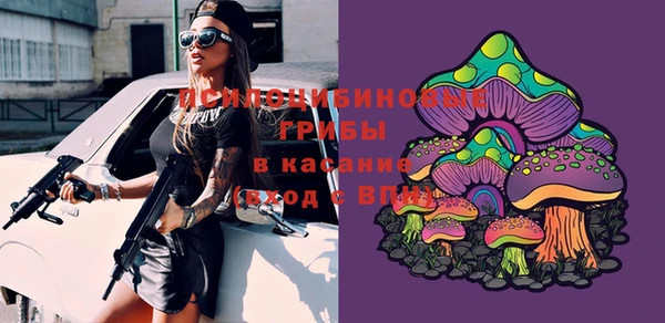 дмт Баксан