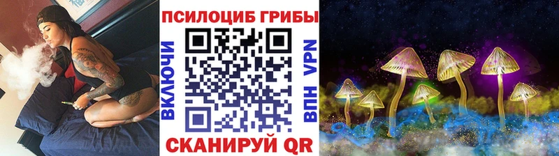 Галлюциногенные грибы Cubensis Староминская