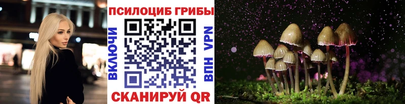 Псилоцибиновые грибы Psilocybe  Староминская 